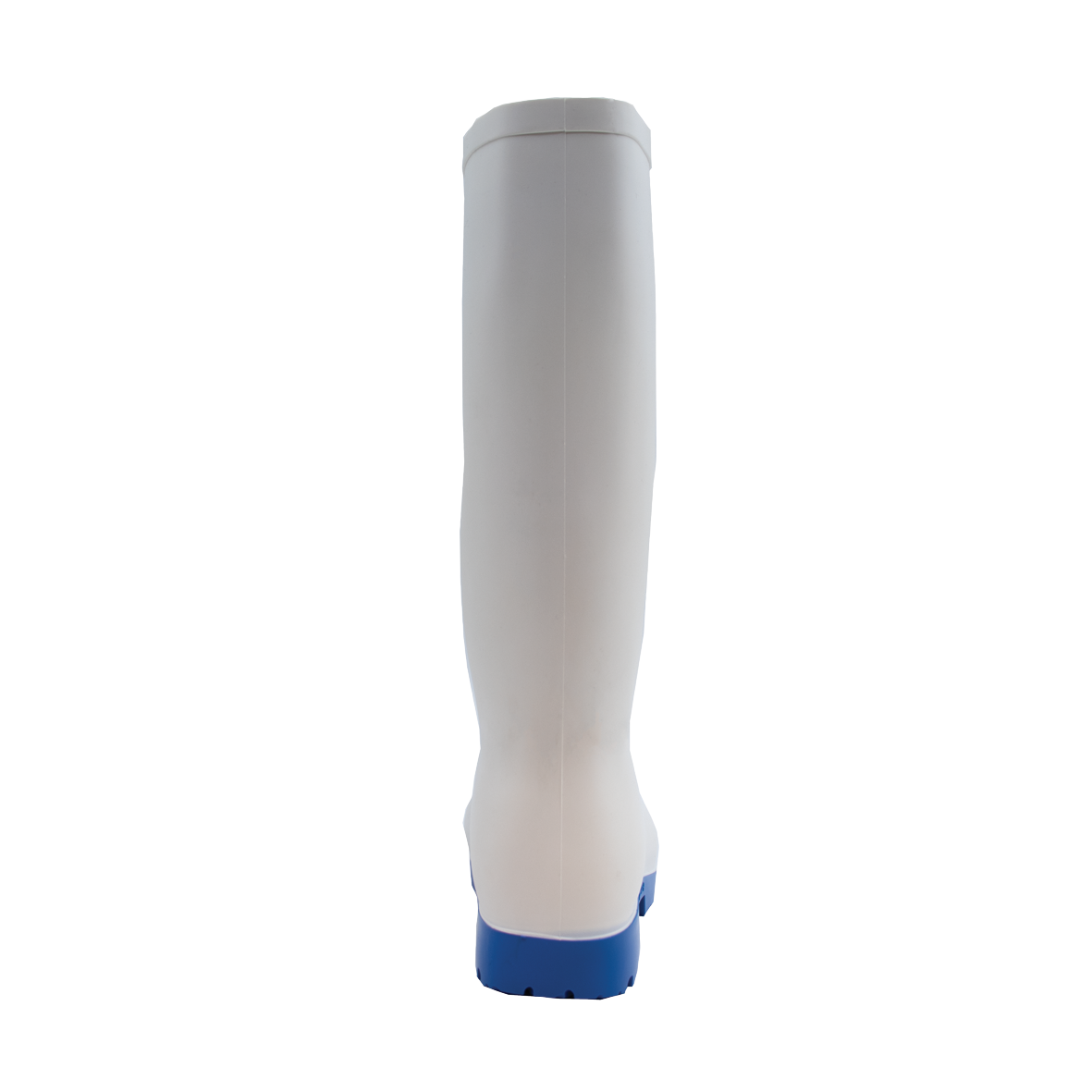 DUNLOP® ACIFORT CLASSIC+ WHITE/BLUE (B180331)